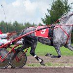 Major gambling destination files for Chapter 11 bankruptcy