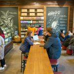 Major gambling destination files for Chapter 11 bankruptcy