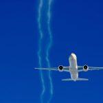 Airline cancels all flights for disturbing reason